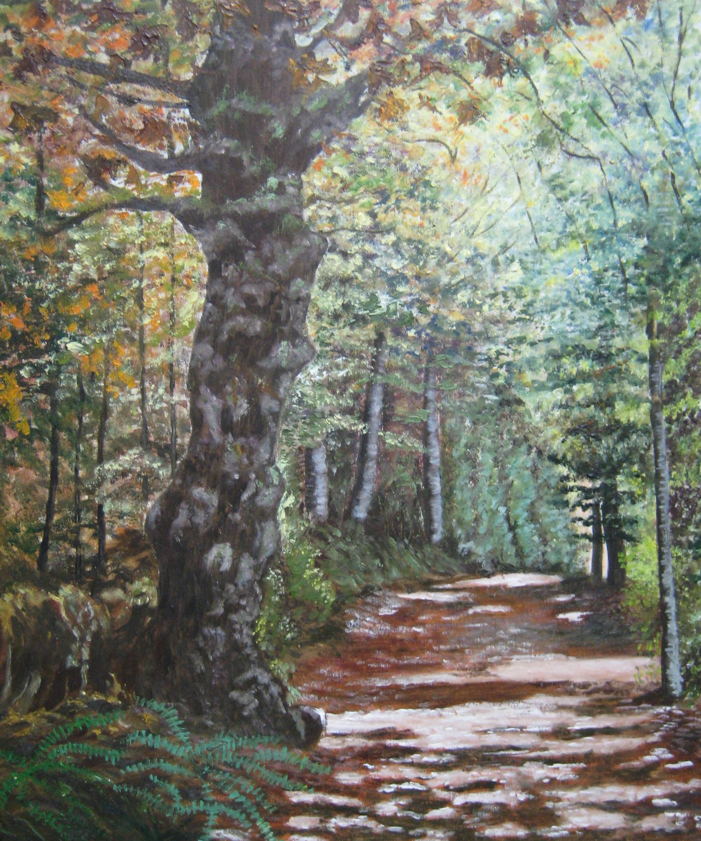 CAMINO DE SANTIAGO